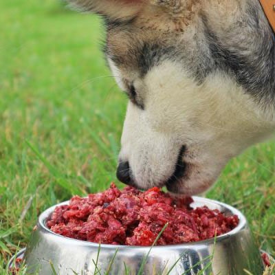 Alimentación natural para mascotas